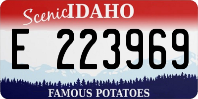 ID license plate E223969