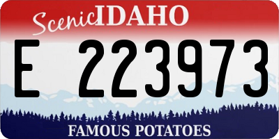ID license plate E223973