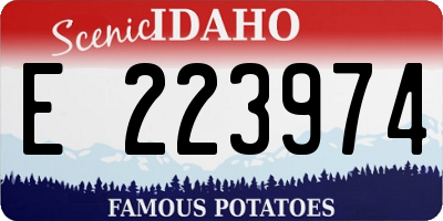 ID license plate E223974