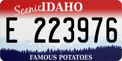 ID license plate E223976