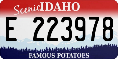 ID license plate E223978