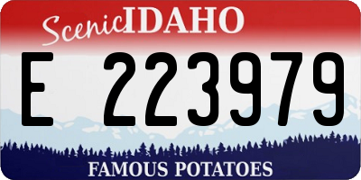 ID license plate E223979