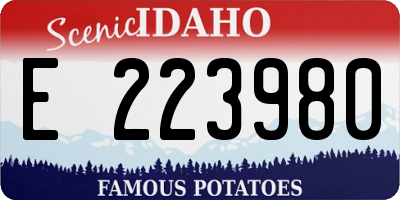 ID license plate E223980