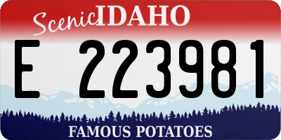 ID license plate E223981
