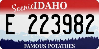 ID license plate E223982