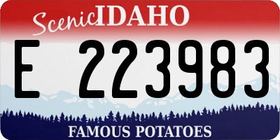 ID license plate E223983