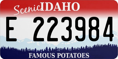 ID license plate E223984