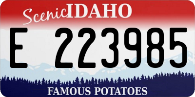 ID license plate E223985