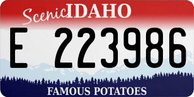 ID license plate E223986