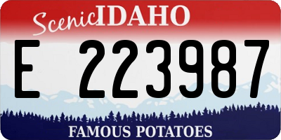 ID license plate E223987