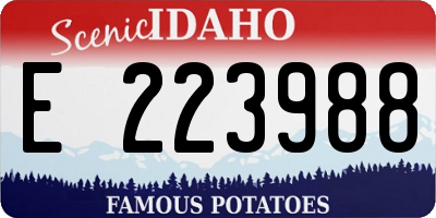 ID license plate E223988