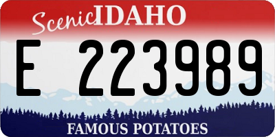 ID license plate E223989