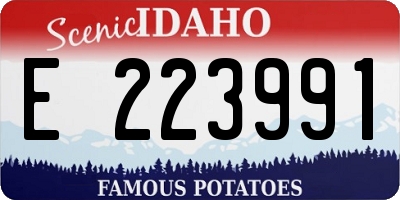 ID license plate E223991