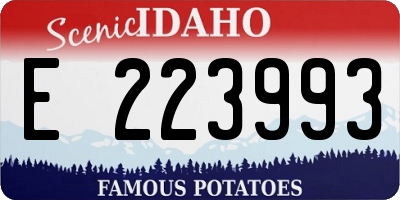 ID license plate E223993