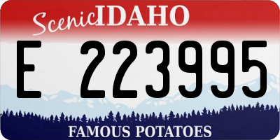 ID license plate E223995