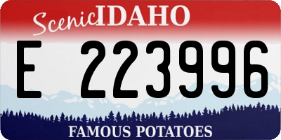 ID license plate E223996