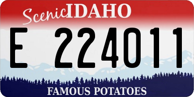 ID license plate E224011