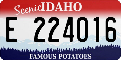 ID license plate E224016