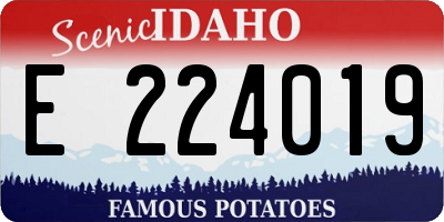 ID license plate E224019
