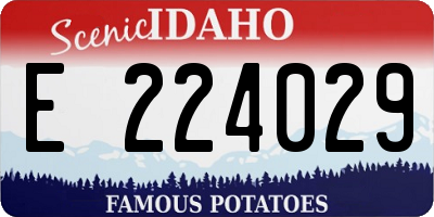 ID license plate E224029