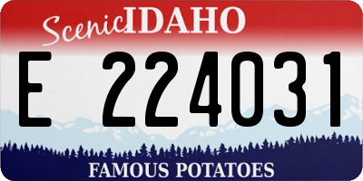 ID license plate E224031