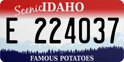 ID license plate E224037