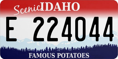 ID license plate E224044