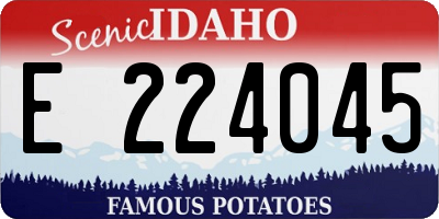 ID license plate E224045