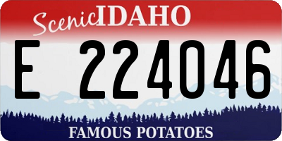 ID license plate E224046