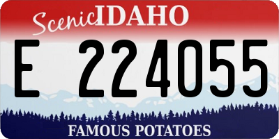 ID license plate E224055