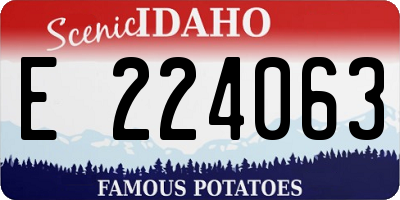 ID license plate E224063