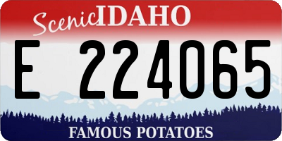 ID license plate E224065