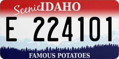 ID license plate E224101