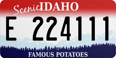 ID license plate E224111