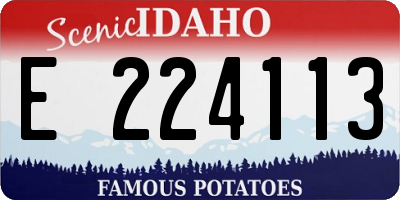 ID license plate E224113