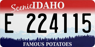 ID license plate E224115