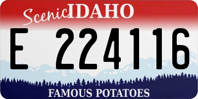ID license plate E224116