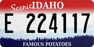 ID license plate E224117