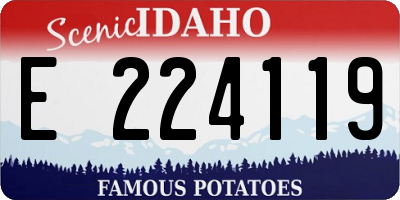 ID license plate E224119