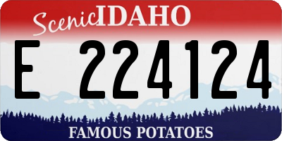 ID license plate E224124