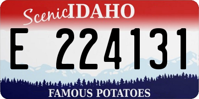 ID license plate E224131