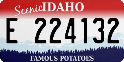 ID license plate E224132