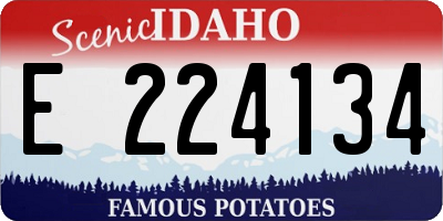 ID license plate E224134
