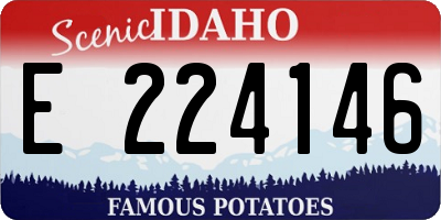 ID license plate E224146