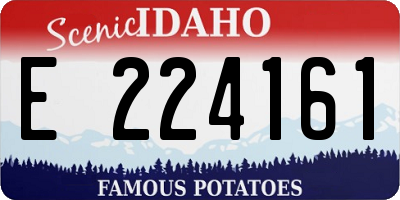 ID license plate E224161