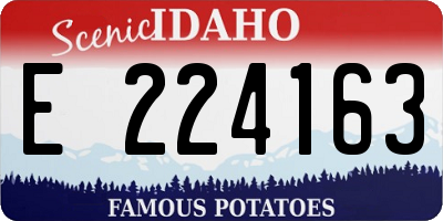ID license plate E224163