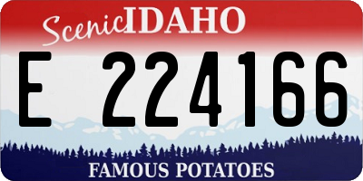 ID license plate E224166