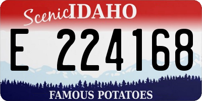 ID license plate E224168