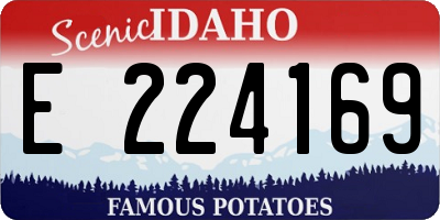 ID license plate E224169