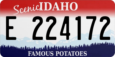 ID license plate E224172